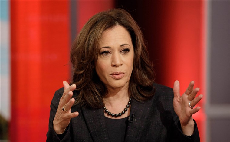 What you need to know about Kamala Harris – the next US presidential candidate with Tamil roots
